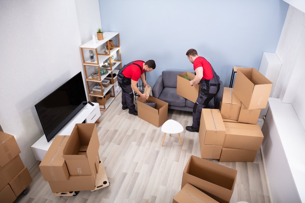 Packers and Movers Near Me