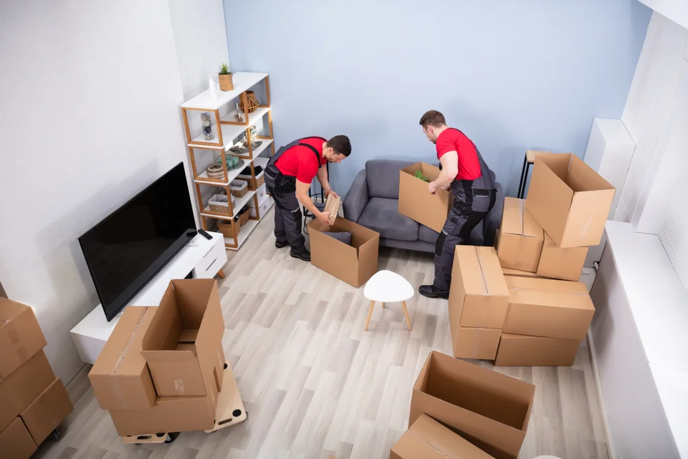 Villa Movers and Packers Ensuring a Seamless Relocation Experience